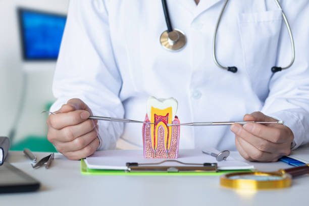 Best Knocked-Out Tooth (Avulsed Tooth) Treatment in Ballwin, MO